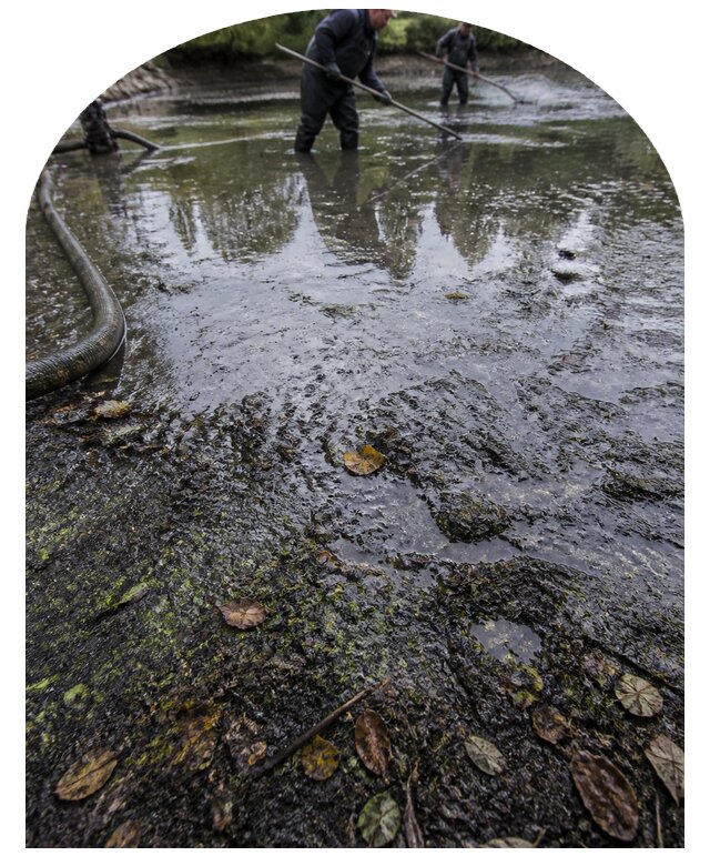 Очистка пруда в Ангарске от ила мусора и водорослей с вывозом
